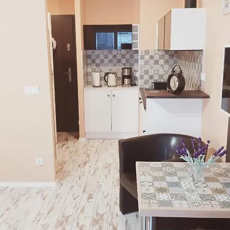 Daire Gdansk Zeusa Kowale (Gdansk)